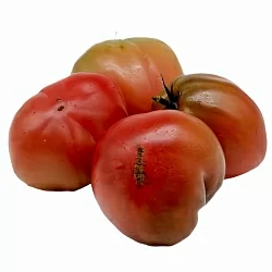  Томат Гном Пурпурное сердце (Dwarf Purple Heart) (6шт)