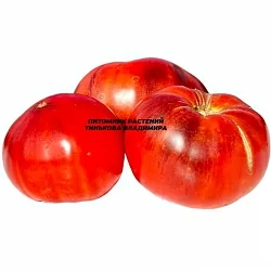  Томат Мармандэ Блю (Marmande Blue) (6шт)