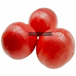  Томат Итальянский жеребец (Italian Stallion, Италия) (6шт)