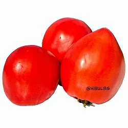  Томат Португальское красное сердце Шерил (Sheryl’s Portuguesse Red Hert, США) (6шт)