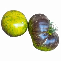  Томат Зеленая богиня Ксанаду (Xanadu green goddess, США) (6шт)