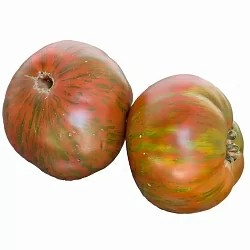  Томат Полосатый шоколад (Chocolate Stripes, США) (6шт)