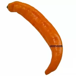  Перец сладкий Рамиро оранжевый (Ramiro orange) (6шт.)