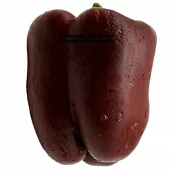  Перец сладкий Сладкий шоколад (Sweet Chocolate, США) (6шт.)