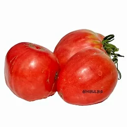  Томат Вельможа (6шт)
