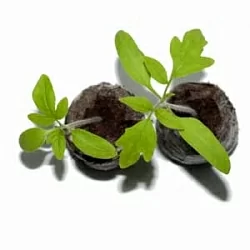  Jiffy-7 PLA (41 мм) 10 штук