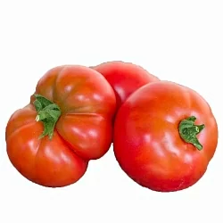  Томат Гном Арктическая Роза (Dwarf Arctic Rose, США, Канада) (6шт)
