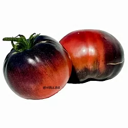  Томат Блек бьюти (Black Beauty, Черная Красота, Черная красавица, США) (6шт)