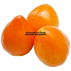  Томат Немецкая оранжевая клубника (German Orange Strawberry, Германия) (6шт)