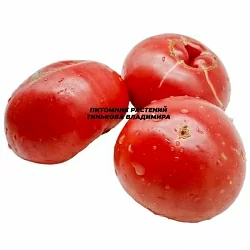  Томат Абхазия розовая (6шт)