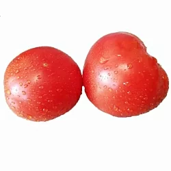  Томат Гном ЗСО (Dwarf ZSO, США) (6шт)