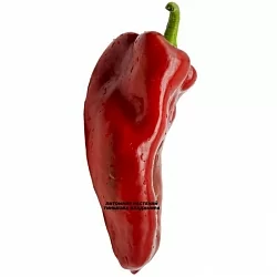  Перец сладкий Пето чудо красный (Peto Miracle red) (6шт.)