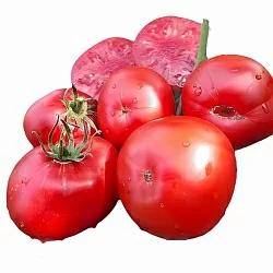 Томат Ванька (6шт)