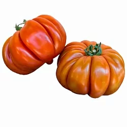  Томат Плиссированный сердолик (Pleated Carnelian, США) (6шт)