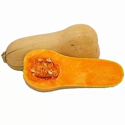Кабачок мускатный Ореховый (Nutty) (5шт)