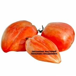  Томат Древнее сердце Акви Терме (Pomodoro Cuore Antico di Acqui Terme, Италия) (6шт)