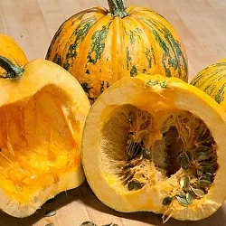 Тыква голосемянная Какаи (Kakai) (3шт)