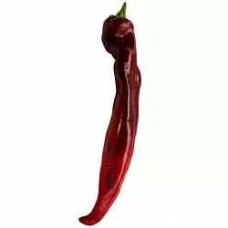  Перец сладкий Рамиро красный (Ramiro Red) (6шт.)