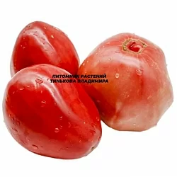  Томат Бычье сердце Джо розовое (Joe’s Pink Oxheart, США) (6шт)