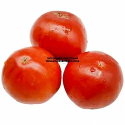  Томат Бельгийское сердце (Belgian Heart, Бельгия) (6шт)