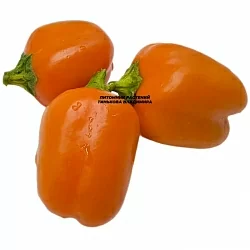  Перец сладкий Мини бел оранж (Mini Bell Orange) (6шт.)