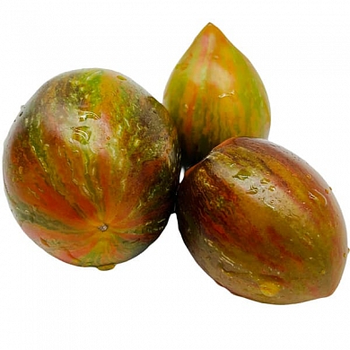 Томат Атомный синтез (Atomic Fusion, США) (6шт)