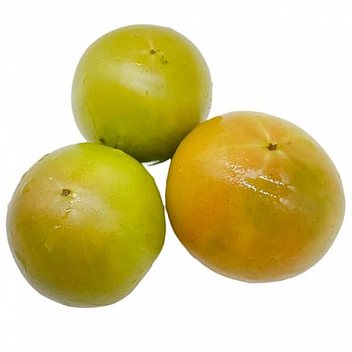 Томат Гном Красота Берил (Dwarf Beril beauty) (6шт)