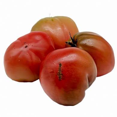 Томат Гном Пурпурное сердце (Dwarf Purple Heart) (6шт)