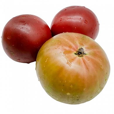 Томат Гном Радинили (Dwarf Radinilee) (6шт)