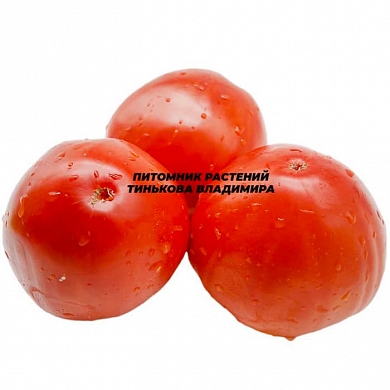 Томат Натальины арбузики (6шт)