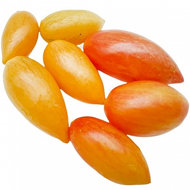 Томат Блаш (Румянец, Blush, США) (6шт)