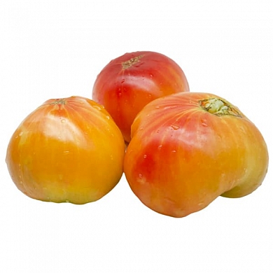 Томат Бурракерские любимцы (Burracker's Favorite, США) (6шт)