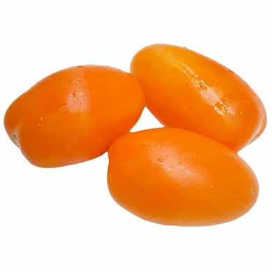 Томат Гном Щедрость Лауры (Dwarf Laura’s Bounty, США, Австралия) (6шт)