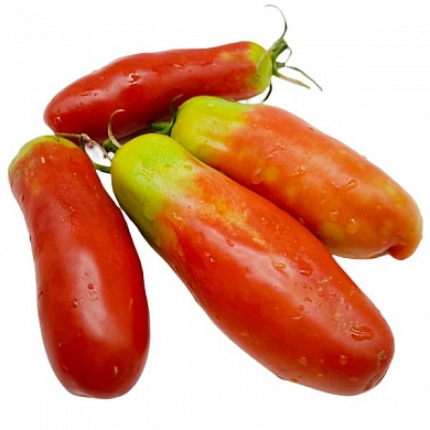 Томат Аурия (6шт)