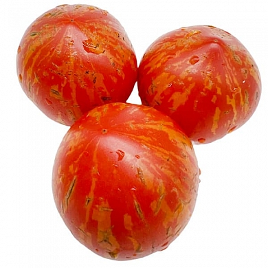 Томат Гном Гендальф (Dwarf Gandolf, США) (6шт)