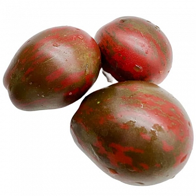 Томат Гном Морские Колокола (Dwarf Maritime Bells) (6шт)