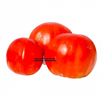 Томат Немецкая красная клубника (German Red Strawberry, Германия) (6шт)
