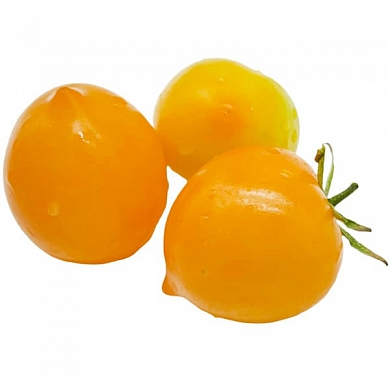 Томат Анна Герман (6шт)