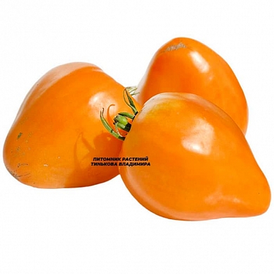 Томат Пастельное оранжевое сердце (Pastel Orange Heart, США) (6шт)