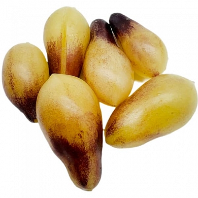 Томат Индиго кумкват (Indigo Kumquat) (6шт) (нет в наличии)