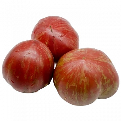 Томат Гном Грааль (Dwarf Grail) (6шт)