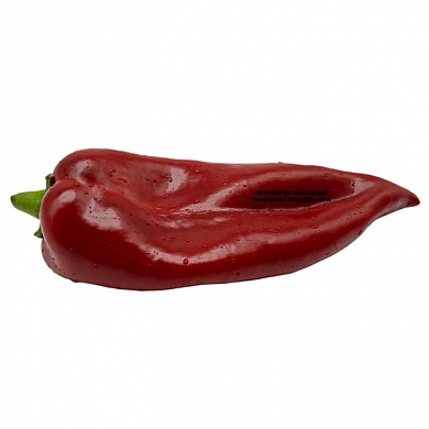 Перец сладкий Жан Поль (Jean Paul, Франция) (6шт.)