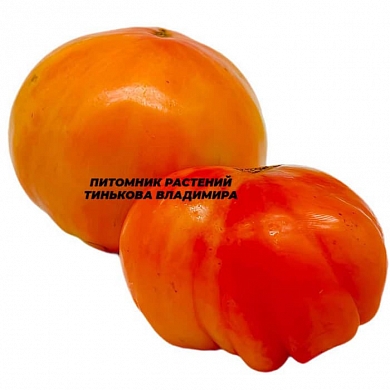 Томат Реликвия Роудс (Rhoades Heirloom, США) (6шт)