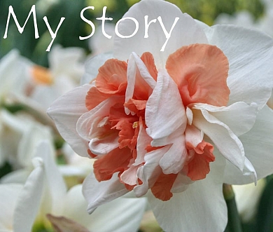 My Story (нет в наличии)