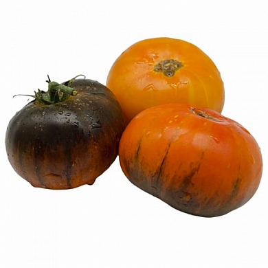 Томат Бузэу (Buzau) (6шт)