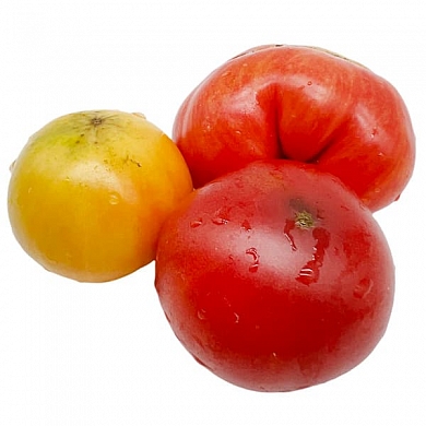 Томат Гном Красотка Сьюзи ( Dwarf Suz’s Beauty, США, Австралия) (6шт)