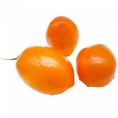 Томат Альке (6шт)