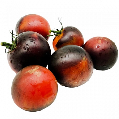 Томат Бандоль блюз (Bandol blues, Франция) (6шт)