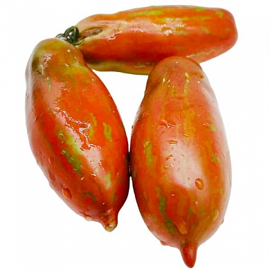 Томат Восстание боксера (Boxer Rebellion, США) (6шт)