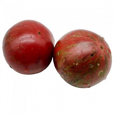 Томат Гном Стринги (Dwarf The Thong) (6шт)